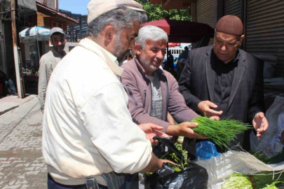 Siirt’te peynir yapımında kullanılan ’Sirik’ otu tezgahlarda
