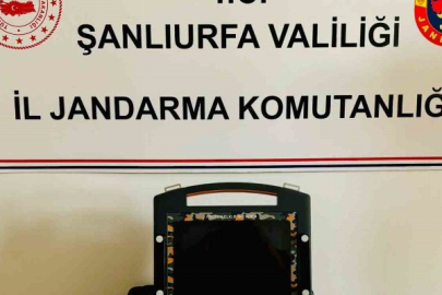Define avcılarına suçüstü