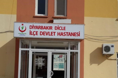 Diyarbakır’da başıboş köpek tarafından ısırılan kadın yaralandı