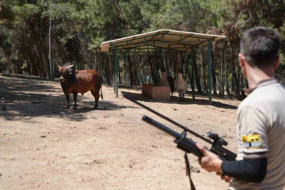Gaziantep’te kurban yakalama timi bayrama hazırlanıyor