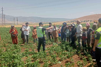 357 mevsimlik tarım işçisine jandarmadan eğitim