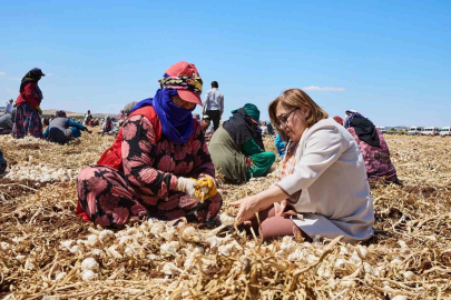 Gaziantep’te "Haydi Tarladan Sofraya" projesi ile çiftçi ile tüketici buluşturulacak
