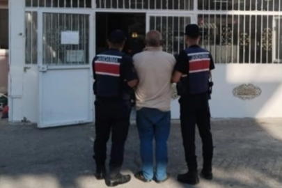 Fıstık hırsızlığına jandarmadan suçüstü: 3 tutuklama