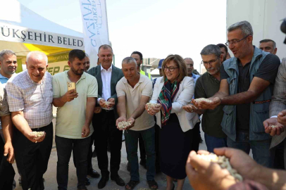 Gaziantep Büyükşehir boz kavlak fıstığın alımına başladı