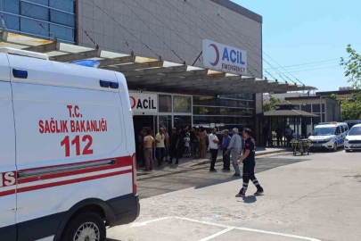 Şanlıurfa’da dehşet: Eşini ve çalışanını öldürdü
