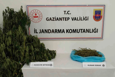 Gaziantep’te uyuşturucu operasyonu: 1 gözaltı