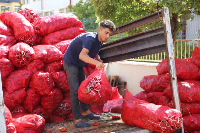 Salça mesaisi başladı