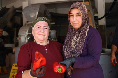 Gaziantep’te kadınlar ekmeklerini ’acı’dan çıkarıyor