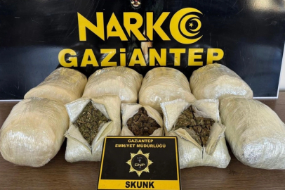 Gaziantep’te 5 kilo skunk ele geçirildi