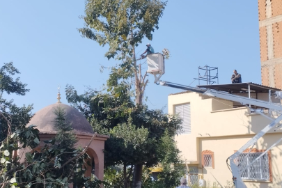Nizip’te ağaçlar budanıyor