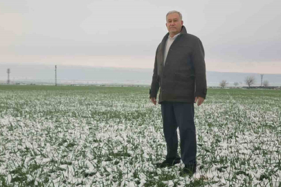 Araban Ovası’nda kar bereketi