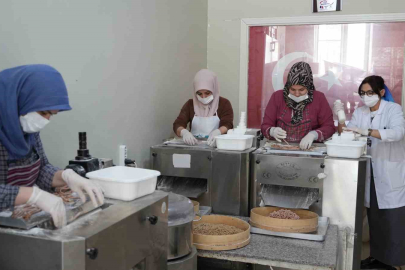 Yuvalama telaşı