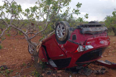 Lastiği patlayan otomobil fıstık bahçesine uçtu: 1 ölü, 2 yaralı