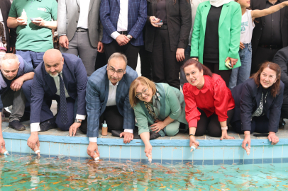 27 BİN KOİ BALIĞI BİBERONLA BESLENİYOR