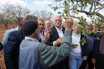 Bayraktar dondan etkilenen bahçeleri inceledi