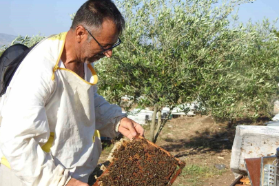 Doktorun annesine bal tavsiyesi hayatını değiştirdi