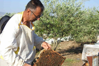Doktorun annesine bal tavsiyesi hayatını değiştirdi
