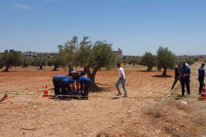 Gaziantep’te bir genç zeytin tarlasında ölü bulundu