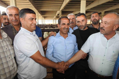 Kurban Bayramı öncesi hayvan pazarları hareketlendi