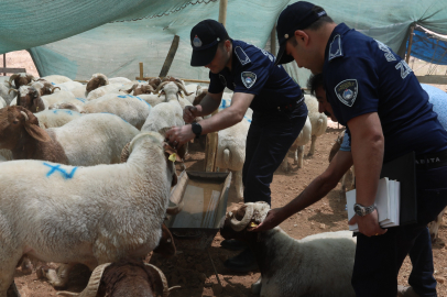 KURBAN DENETİMİ VE TEMİZLİK SEFERBERLİĞİ