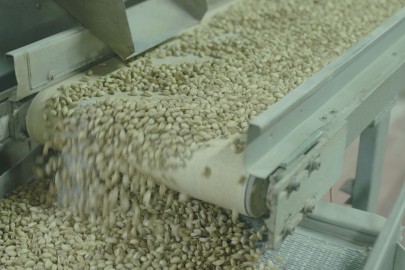 Tiryaki Agro kapasitesini arttırıyor