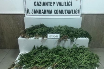 Uyuşturucu operasyonu