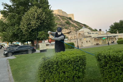 KENE VE DİĞER ZARARLILARA KARŞI İLAÇLAMA