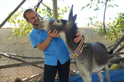 Annesi ölen eşeğe gözü gibi bakıyor