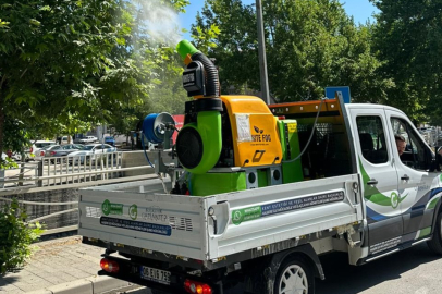 Büyükşehir üvezle mücadelede sahada