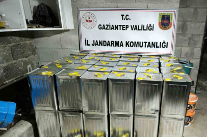 500 bin TL değerinde sahte zeytinyağı ele geçirildi: 1 gözaltı