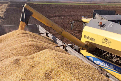 Araban Ovası’nda mısır hasadına başlandı