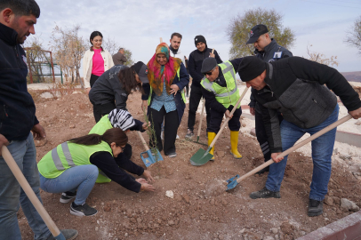 Oğuzeli Belediyesi’nden ağaçlandırma seferberliği