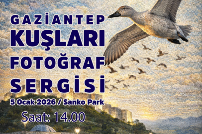 GAZİANTEP’İN KUŞLARI GÖRÜCÜYE ÇIKIYOR