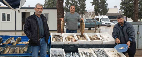 Araban’da soğuk hava balığa talebi artırdı