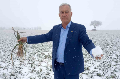 Kar yağışı sarımsak üreticisinin yüzünü güldürecek