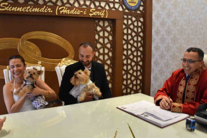 Köpekleriyle birlikte mutluluğa "evet" dediler