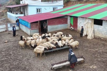 Depremzede besici devlet desteğiyle hayata tutundu