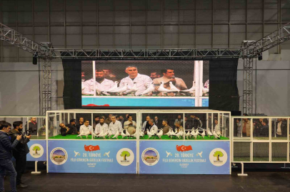 Güvercin Güzellik Festivali gerçekleştirildi