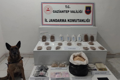 Jandarmanın uyuşturucu ve kaçakçılık operasyonlarında 10 şahıs tutuklandı