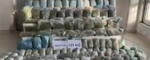 121 kilo skunk ele geçirildi