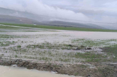 Tarım arazileri su altında kaldı