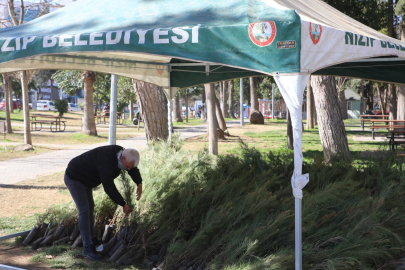 Nizip Belediyesi’nden ücretsiz fidan