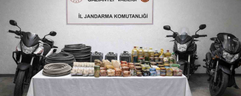 Hırsızlık şüphelisi 12 şahıs yakalandı