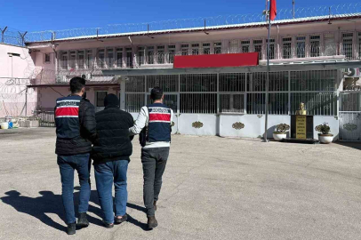 DEAŞ üyesi yakalandı