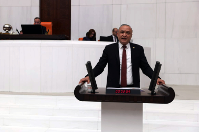 Meriç Gaziantep’in sorunlarını meclise taşıdı