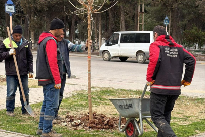 Nizip'te ekipler daha yeşil bir ilçe için sahada