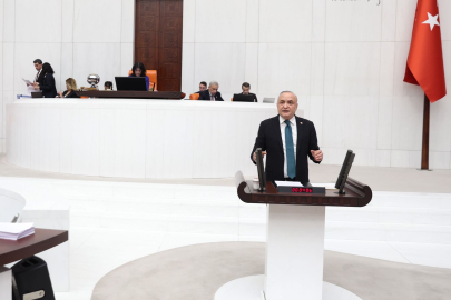 Meriç’ten özelleştirme eleştirisi