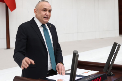 Meriç’ten “Hayvan Hakları” Tepkisi: “Kanun Keyfi Uygulamalara ve Hayvan Ticaretine Kapı mı Aralıyor?”