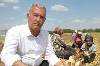 Araban Sarımsağı dünya devleri arasında 5’inci seçildi