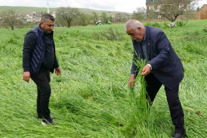 Hububatı ‘süper hücre’ vurdu